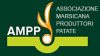 AMPP - Associazione Marsicana Produttori di Patate